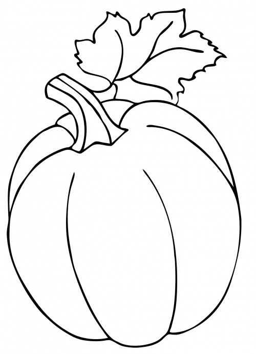 Pumpkin with a big leaf coloring page