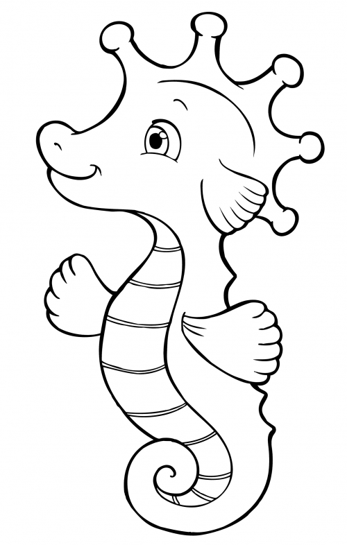 Beautiful seahorse coloring page