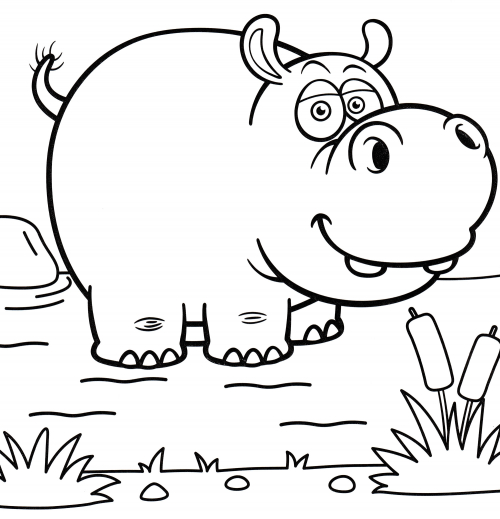 Funny hippopotamus coloring page