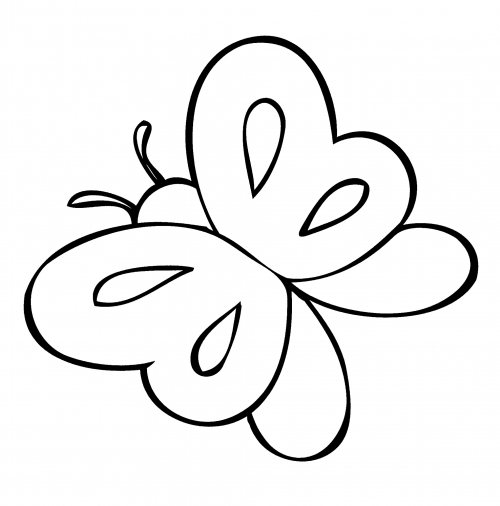 Wonderful butterfly coloring page