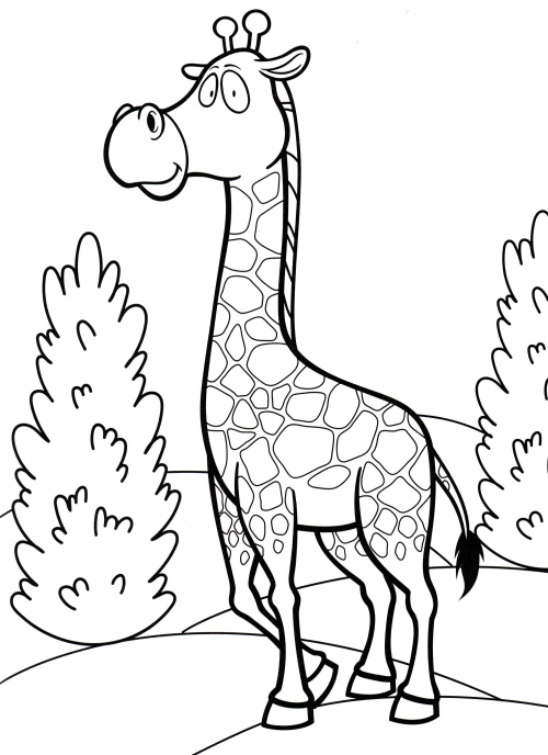 Beautiful giraffe coloring page