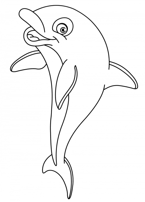 Jumping dolphin coloring page