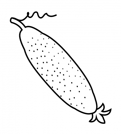 Fresh cucumber coloring page