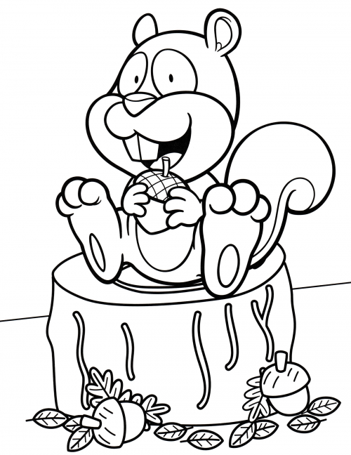 Squirrel eats a nut coloring page