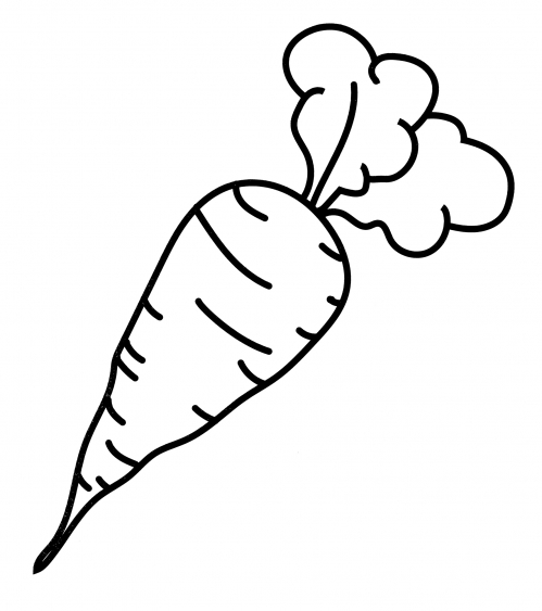 Orange carrot coloring page