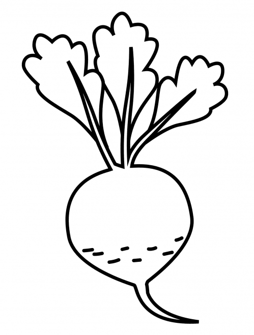 Ripe beetroot coloring page