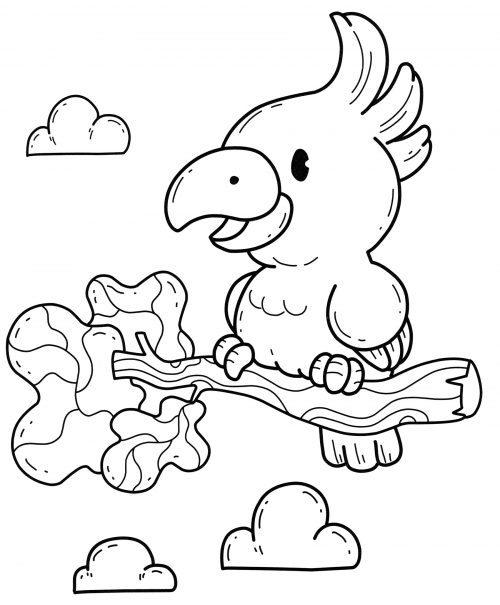 Cute parrot coloring page