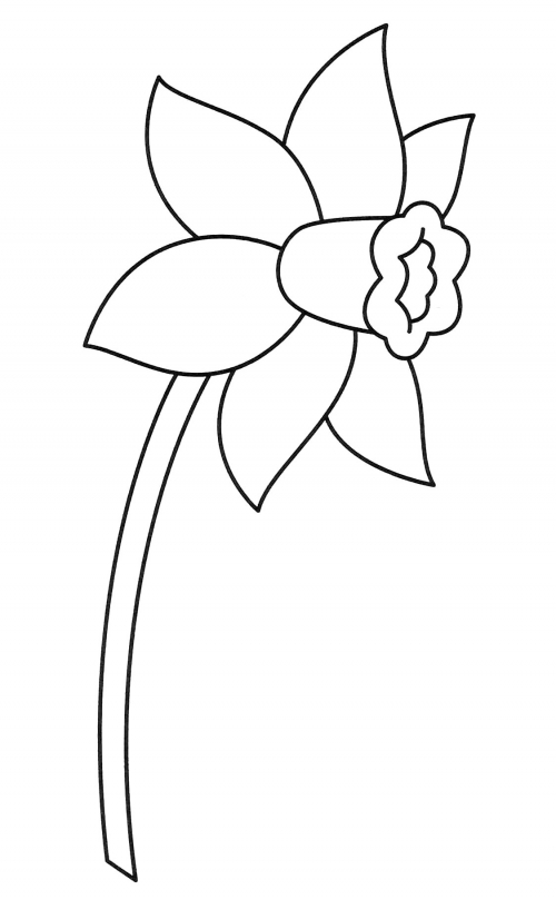 Little daffodil coloring page