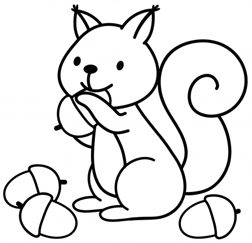 Squirrel with acorns coloring page