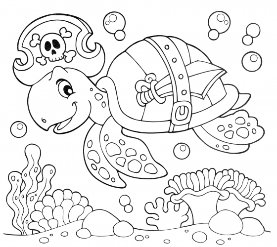 Pirate Turtle coloring page