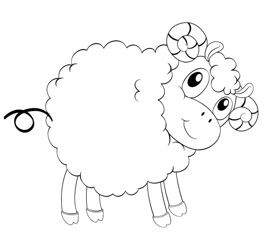 Sheep with a round body coloring page