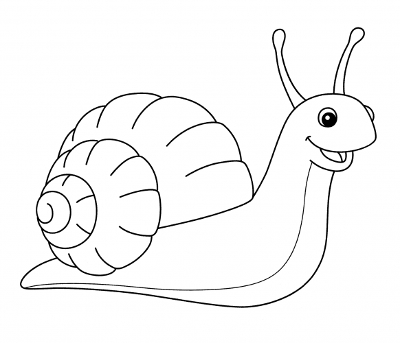 Snail with a nice shell coloring page