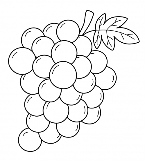 Round grapes coloring page