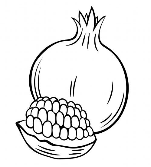 Beautiful pomegranate coloring page