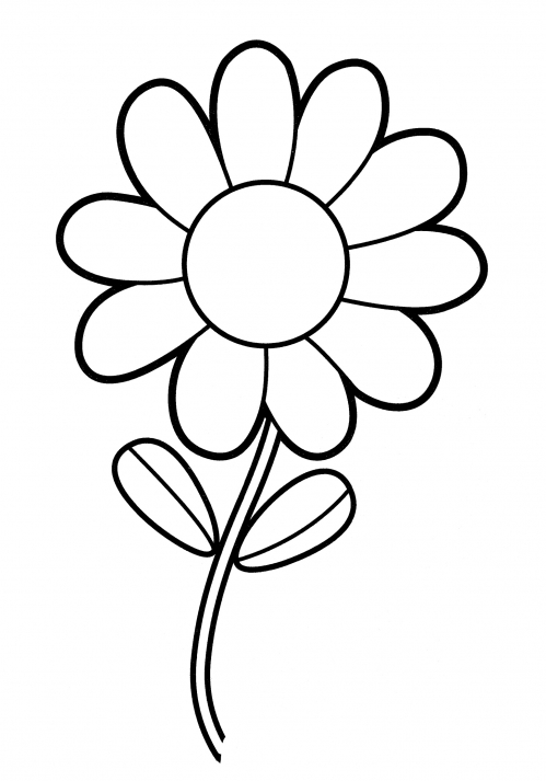 Little daisy coloring page