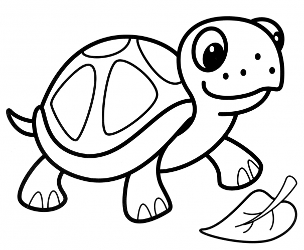 Tortoise with a leaf coloring page