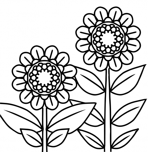 Two big sunflowers coloring page