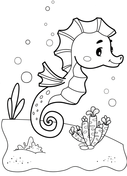 Seahorse on the bottom coloring page