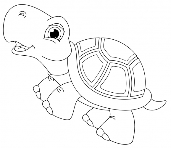 Cute tortoise coloring page