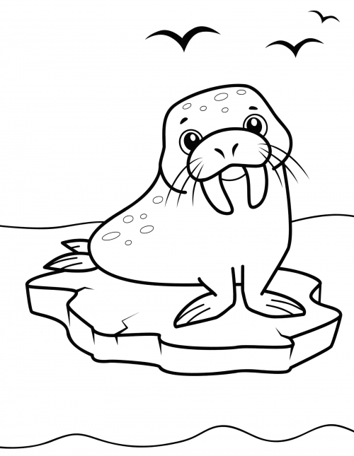 Walrus on an ice floe coloring page