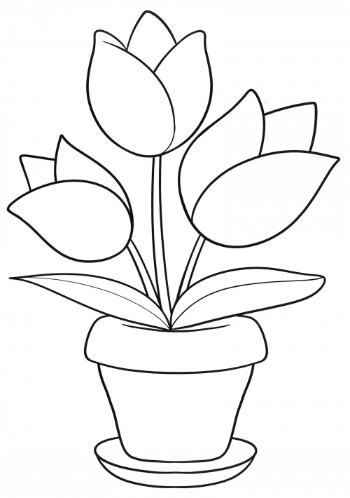 Three tulips in a pot coloring page