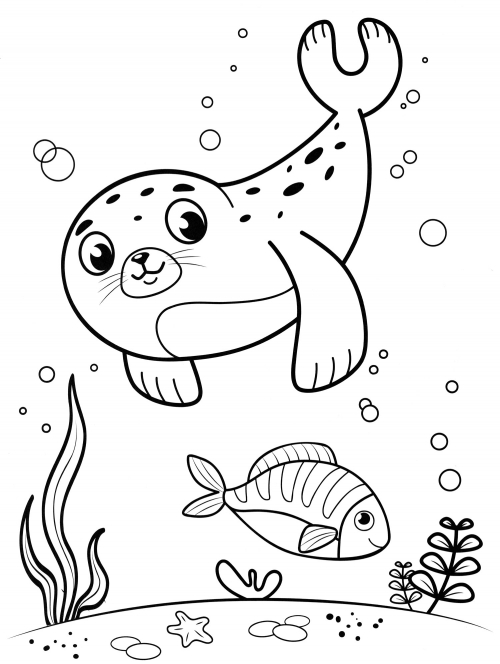 Seal under water coloring page