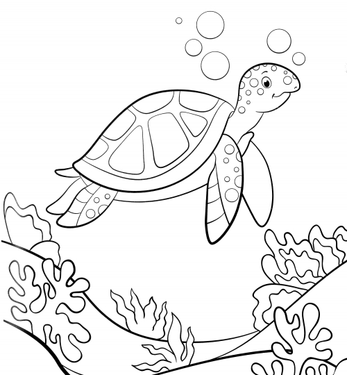 Turtle among the coral coloring page
