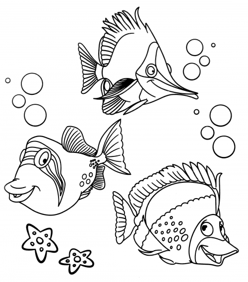 Three fish under the sea coloring page