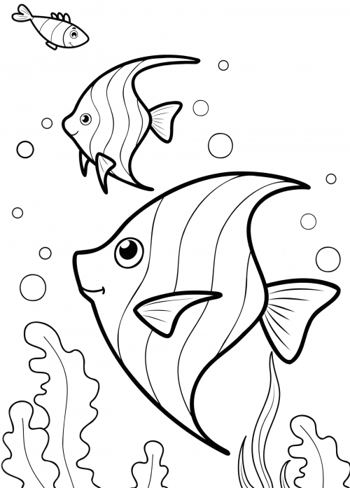 Beautiful aquarium fish coloring page