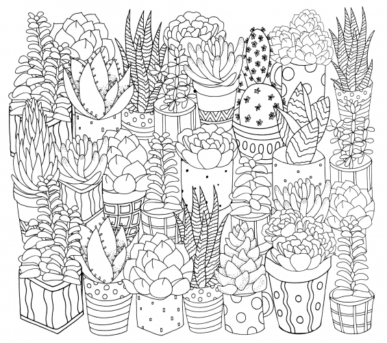 Indoor plants anti-stress coloring page