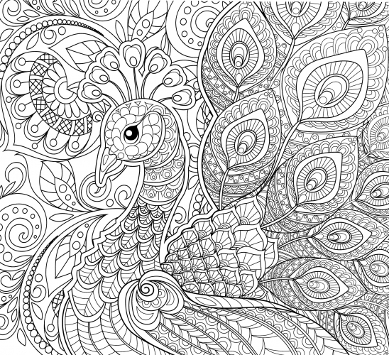 Fairy bird anti-stress coloring page