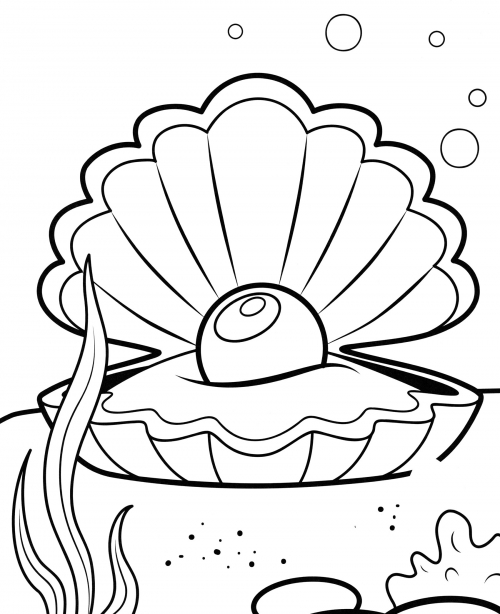 Clam coloring page