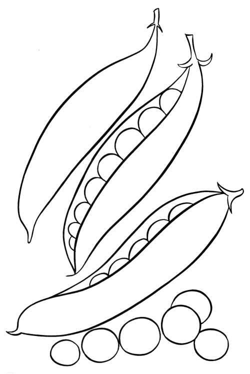 Green pea pods coloring page