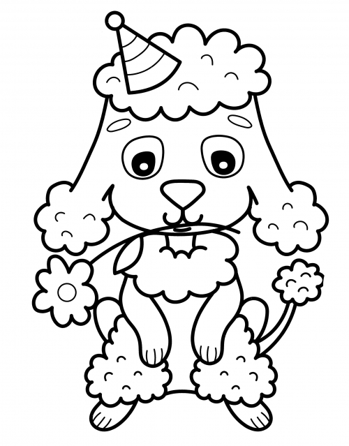 Poodle in a hat coloring page