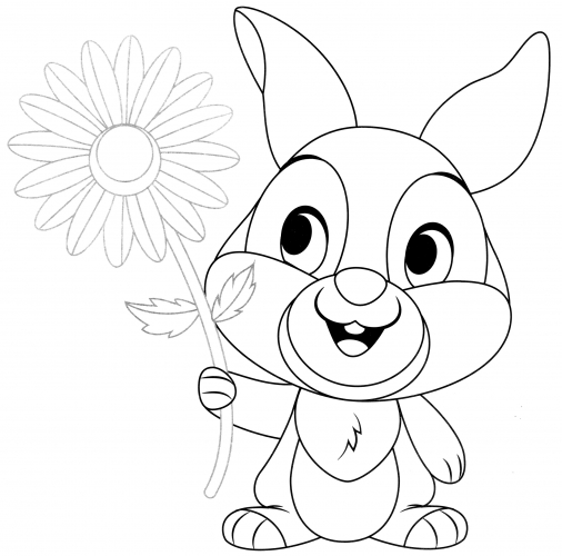 Rabbit with a daisy coloring page
