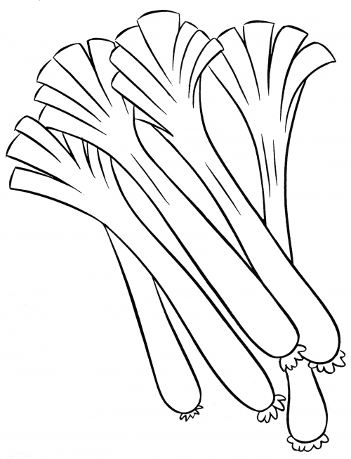 Bunch of leeks coloring page