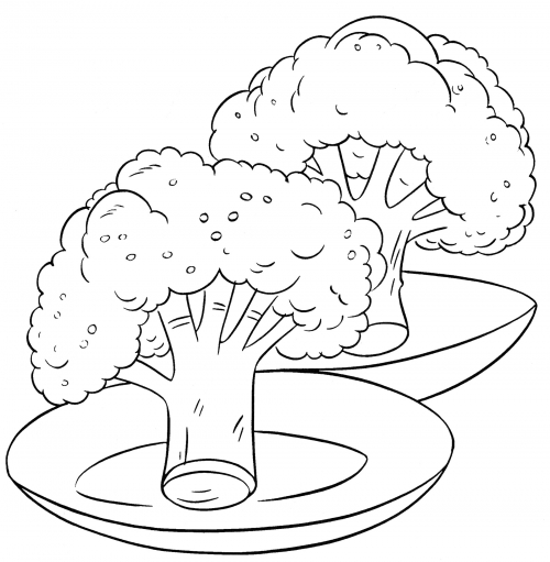 Broccoli on a plate coloring page