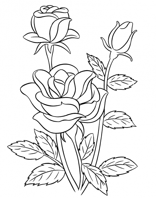 A sprig of rose coloring page