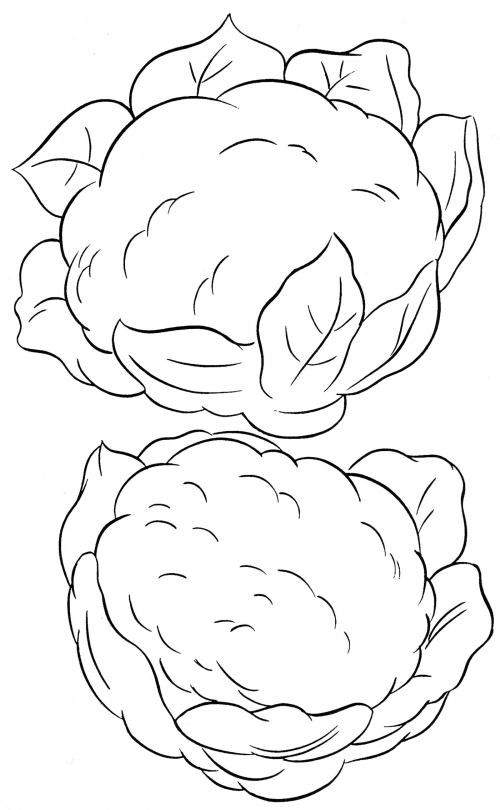 Two bobbins of cauliflower coloring page