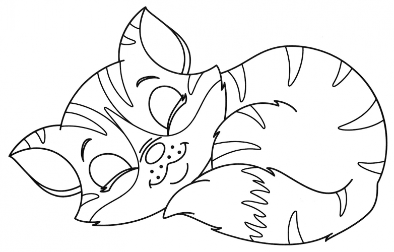 Sleeping cat coloring page