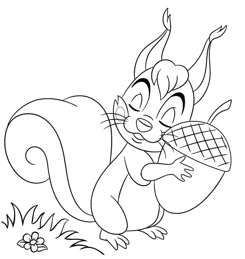 Squirrel holds his favorite acorn coloring page