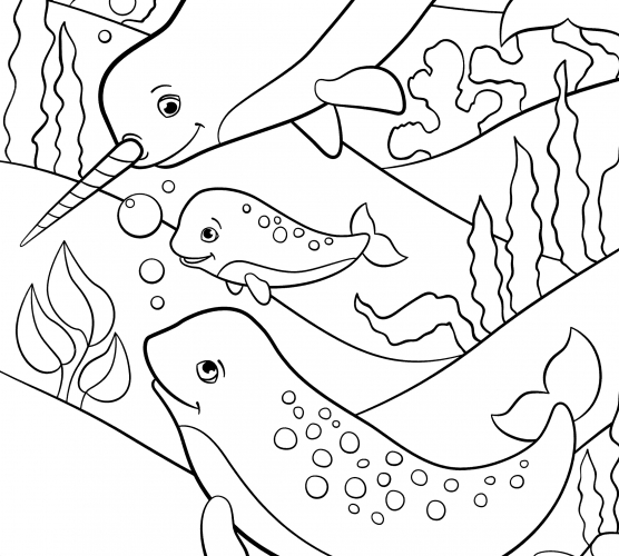 A large family of narwhals coloring page