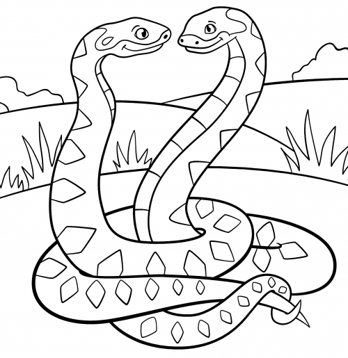 Two snakes in love coloring page