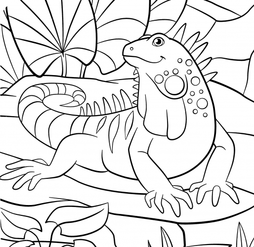 Exotic Iguana coloring page