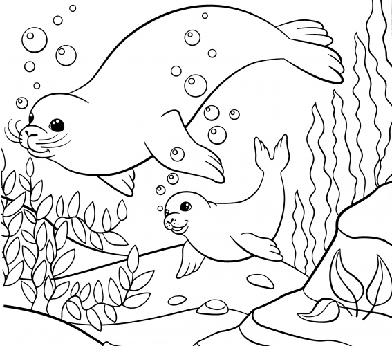 Baikal seals coloring page