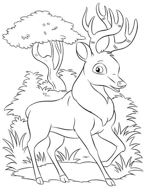 Deer in the forest coloring page