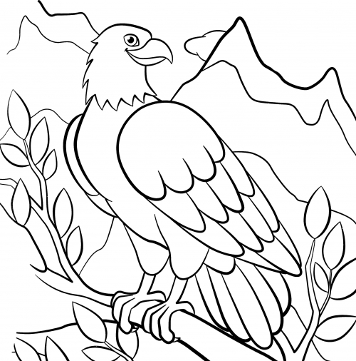 Mountain eagle on a branch coloring page