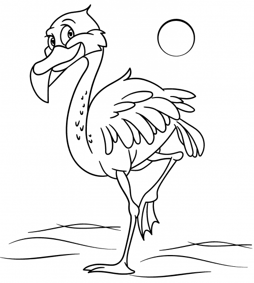 Greater Flamingo coloring page