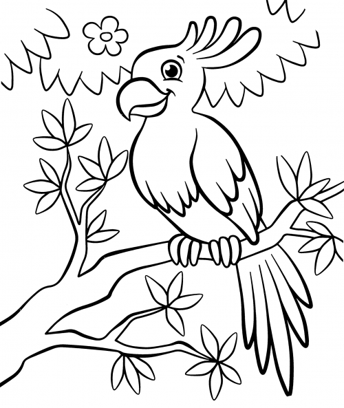 Parrot with a large crest coloring page