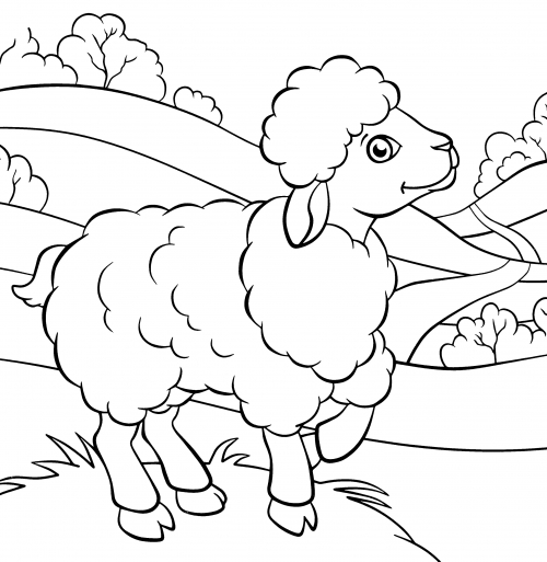 Sheep in a fluffy fur coat coloring page